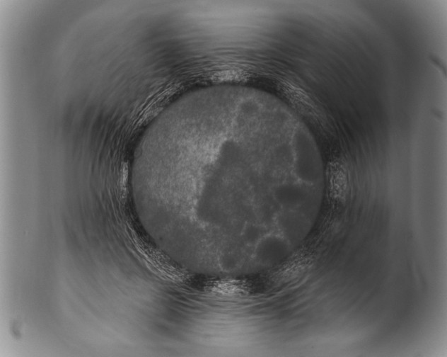 X0000100330550200806261305