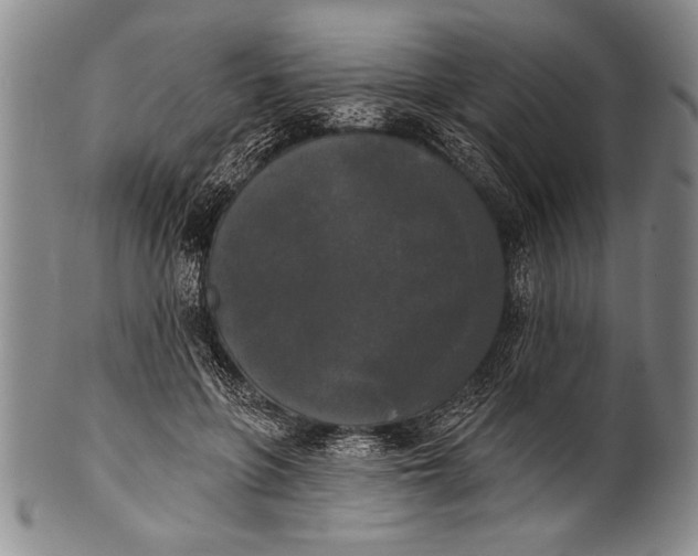 X0000100330551200806261305