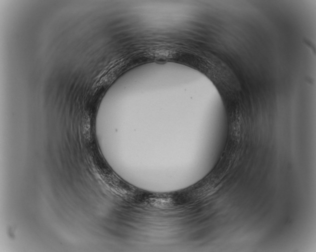 X0000100330552200806261305