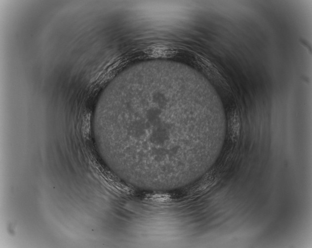 X0000100330554200806261305