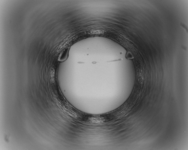 X0000100330556200806261305