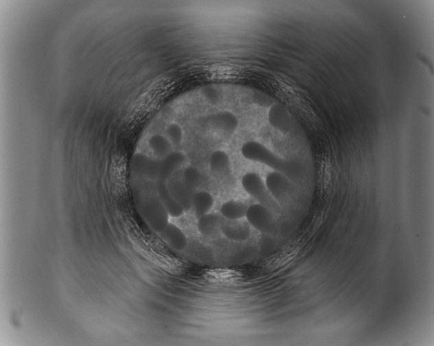 X0000100330557200806261305