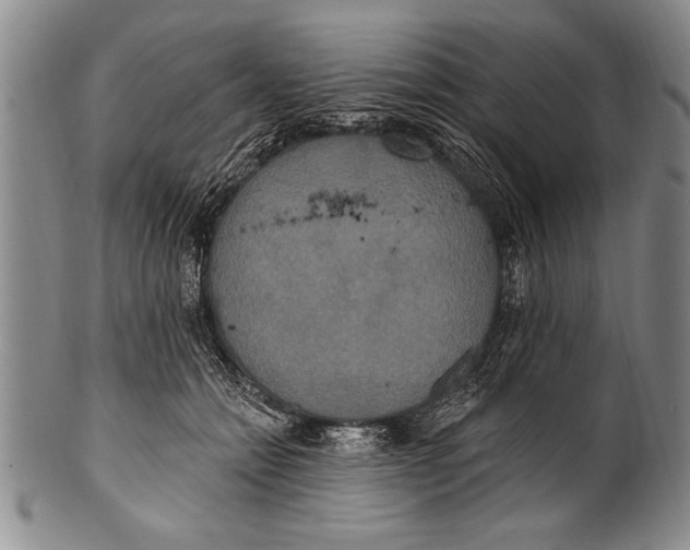 X0000100330558200806261305