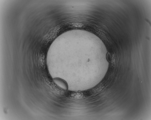 X0000100330559200806261305