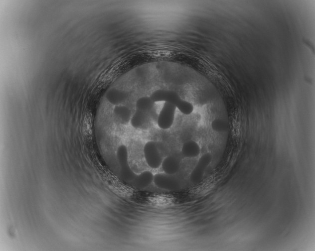 X0000100330561200806261305