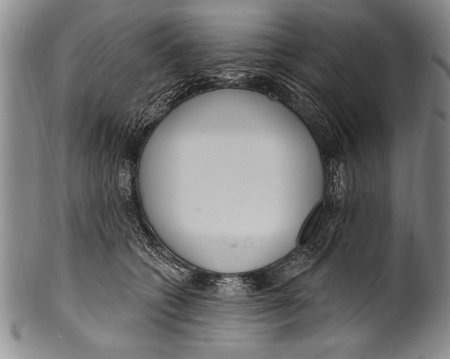 X0000100330562200806261305