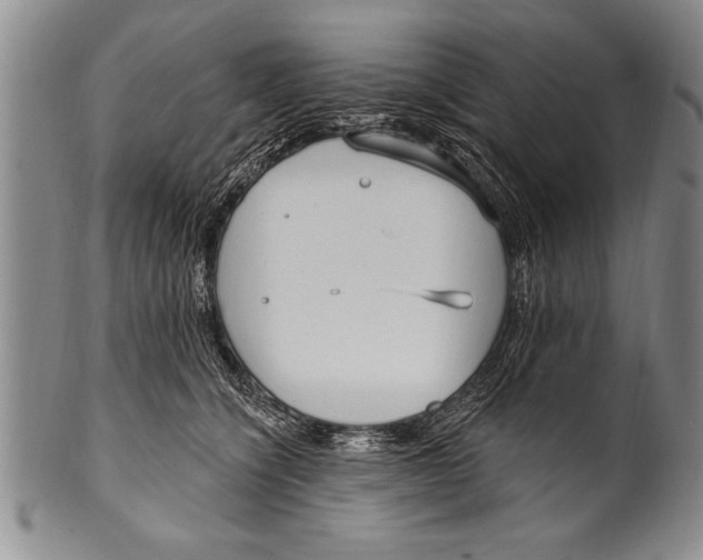 X0000100330564200806261305