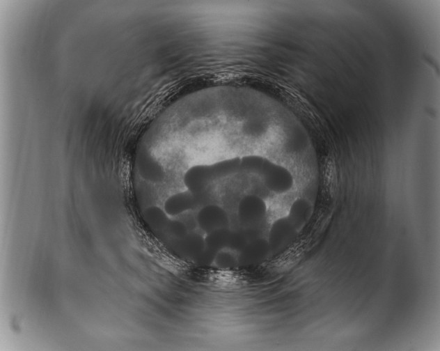 X0000100330565200806261305