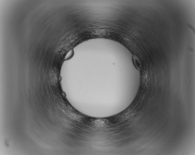 X0000100330566200806261305