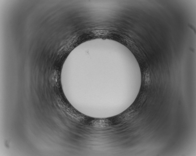 X0000100330567200806261305