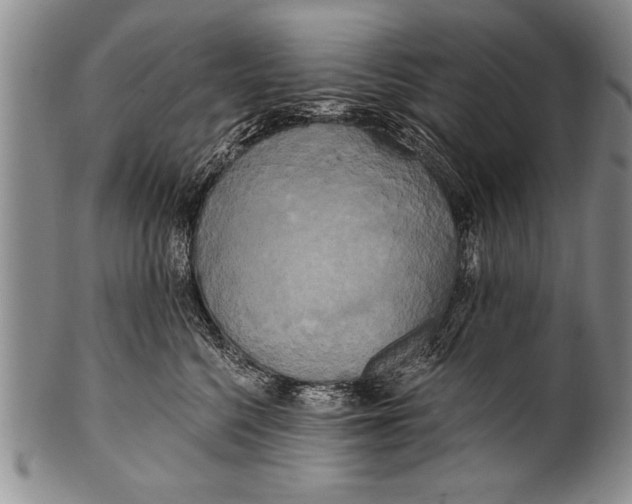 X0000100330568200806261305