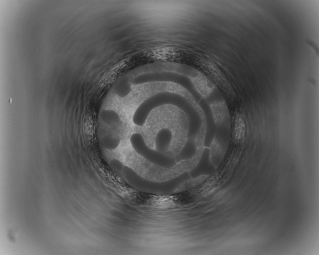 X0000100330569200806261305