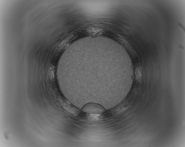 X0000100330570200806261305