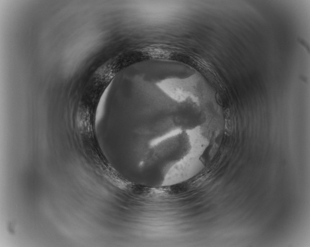 X0000100330573200806261305