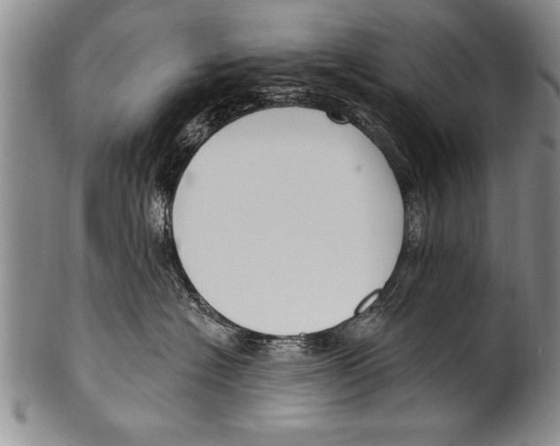 X0000100330574200806261305