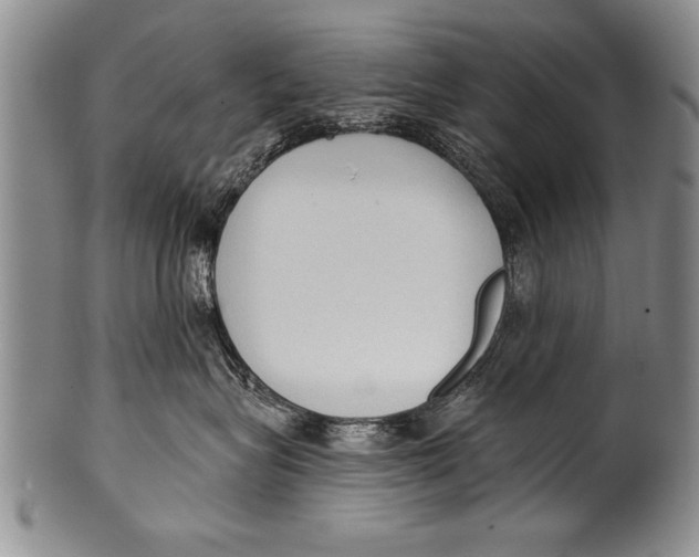 X0000100330575200806261305