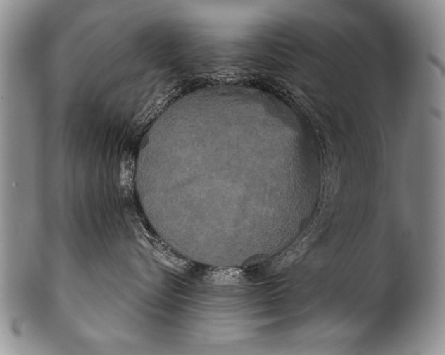 X0000100330576200806261305