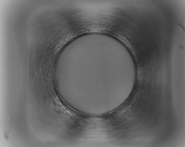 X0000100330577200806261304