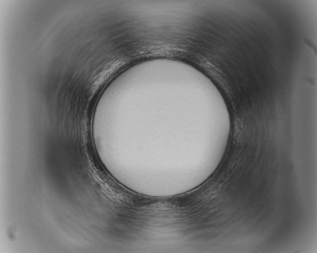 X0000100330578200806261304