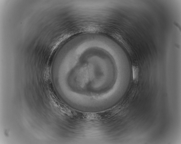 X0000100330579200806261304