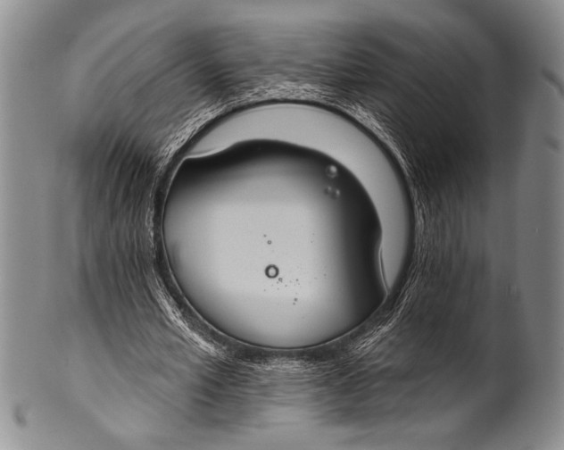 X0000100330581200806261304