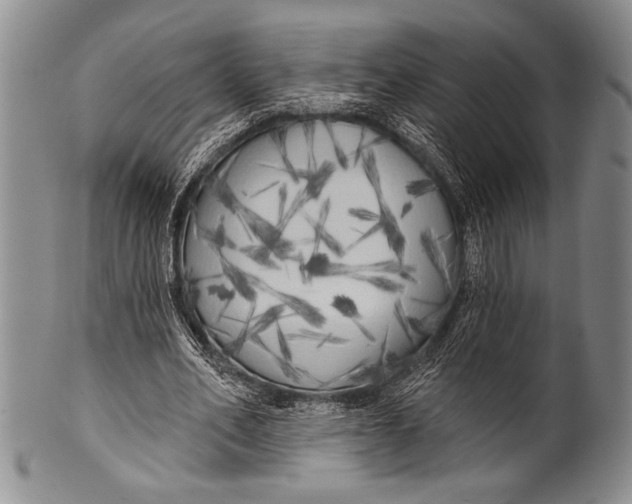 X0000100330582200806261304