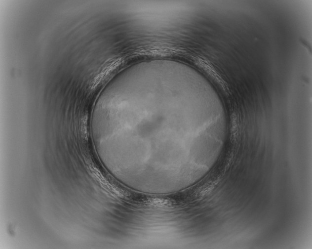 X0000100330585200806261304