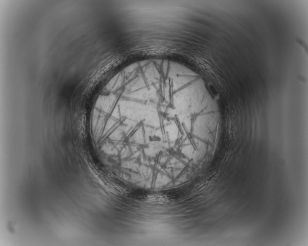 X0000100330591200806261304