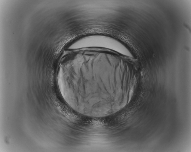 X0000100330592200806261304