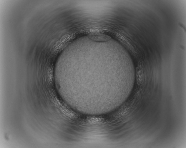 X0000100330593200806261304