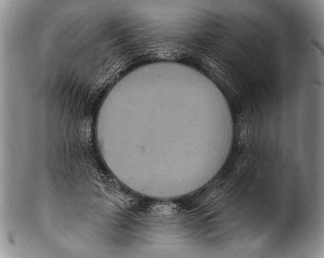 X0000100330595200806261304