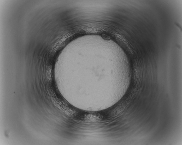 X0000100330596200806261304