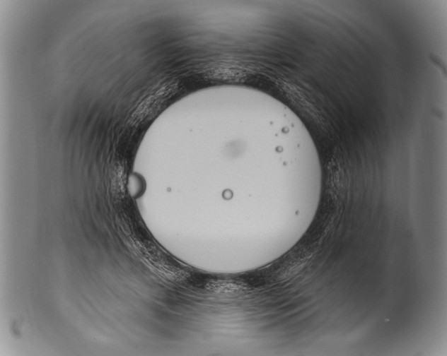 X0000100330597200806261304