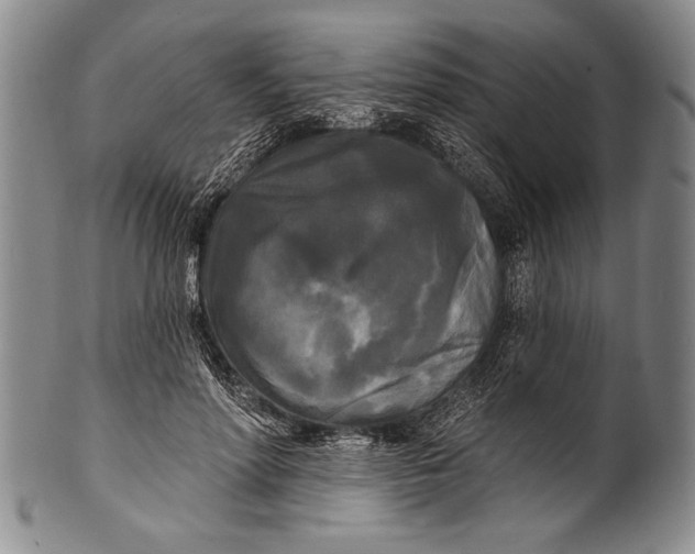 X0000100330598200806261304