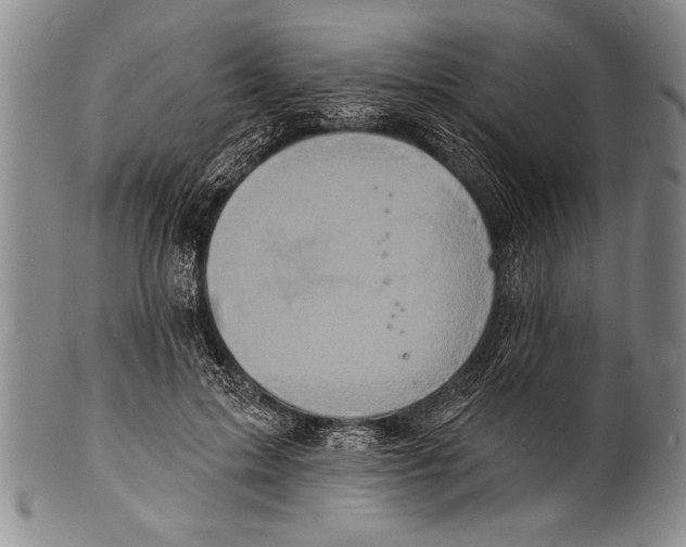 X0000100330599200806261304