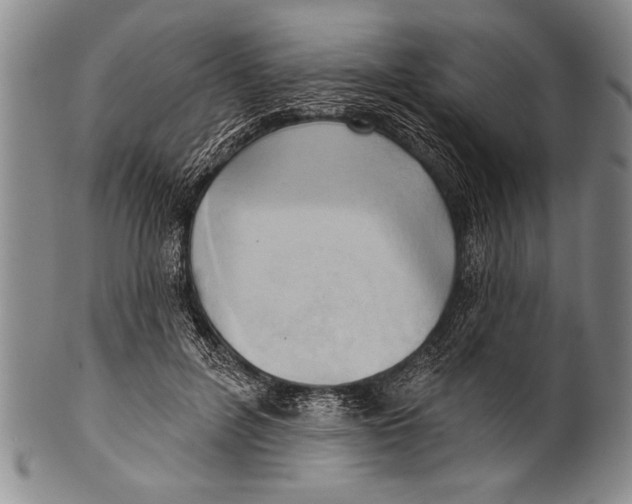 X0000100330600200806261304