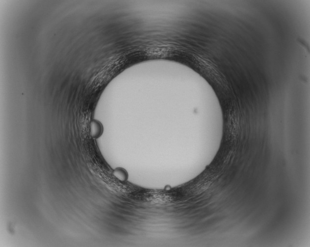 X0000100330601200806261304