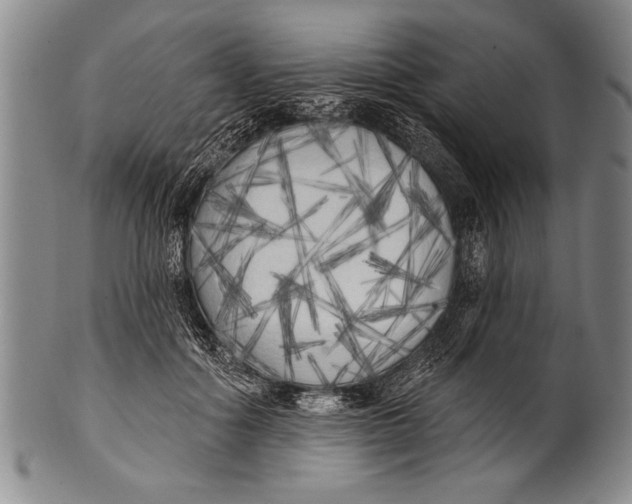 X0000100330602200806261304