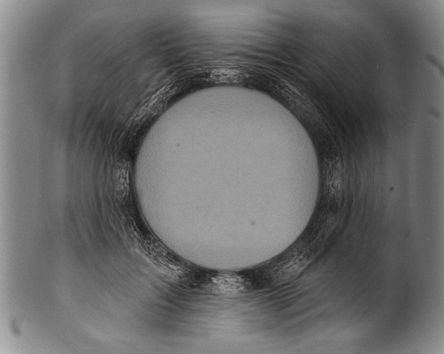 X0000100330603200806261304