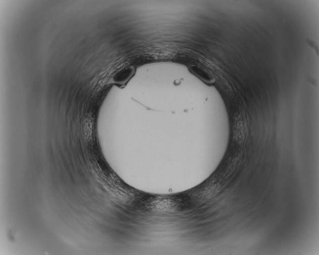 X0000100330604200806261304