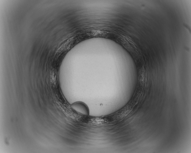 X0000100330607200806261304