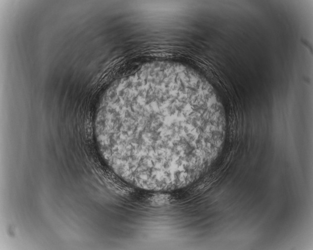 X0000100330609200806261304