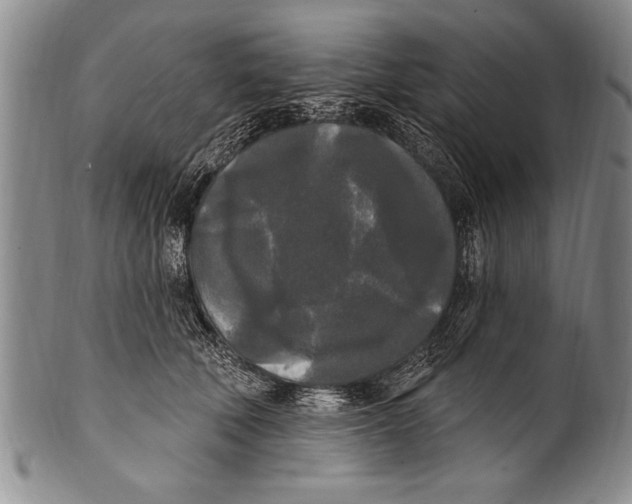 X0000100330610200806261304