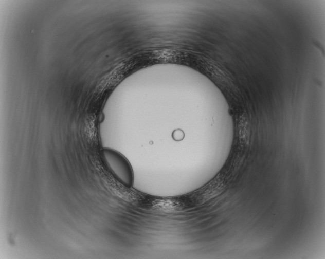 X0000100330611200806261304