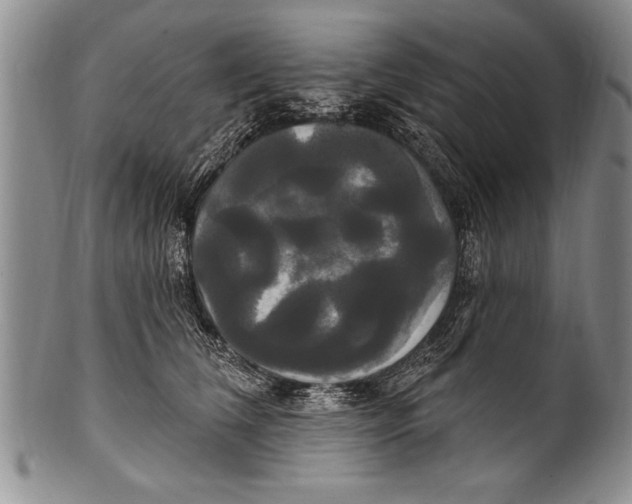 X0000100330612200806261304