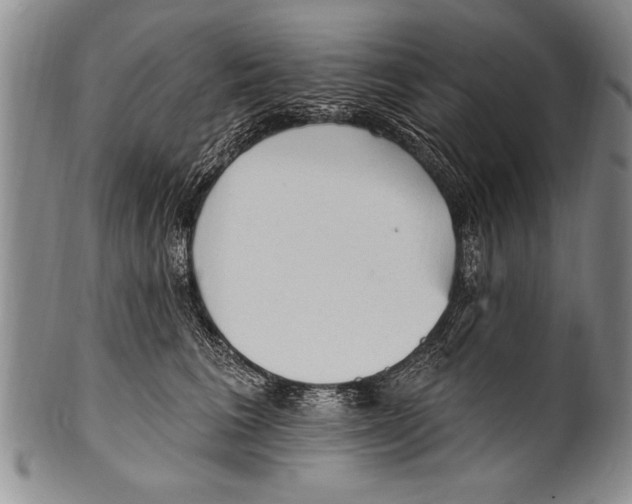 X0000100330613200806261304