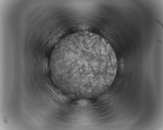 X0000100330615200806261304