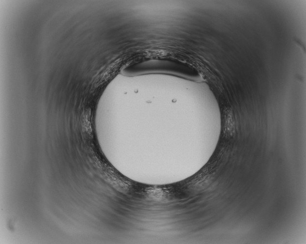 X0000100330616200806261304