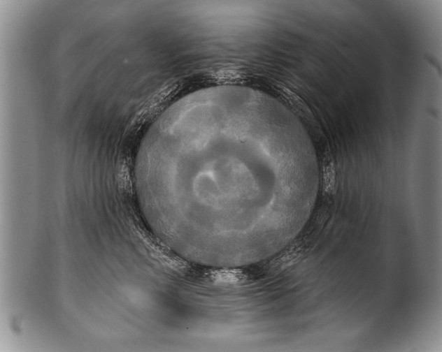 X0000100330618200806261304