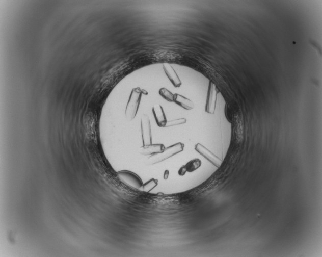 X0000100330619200806261304